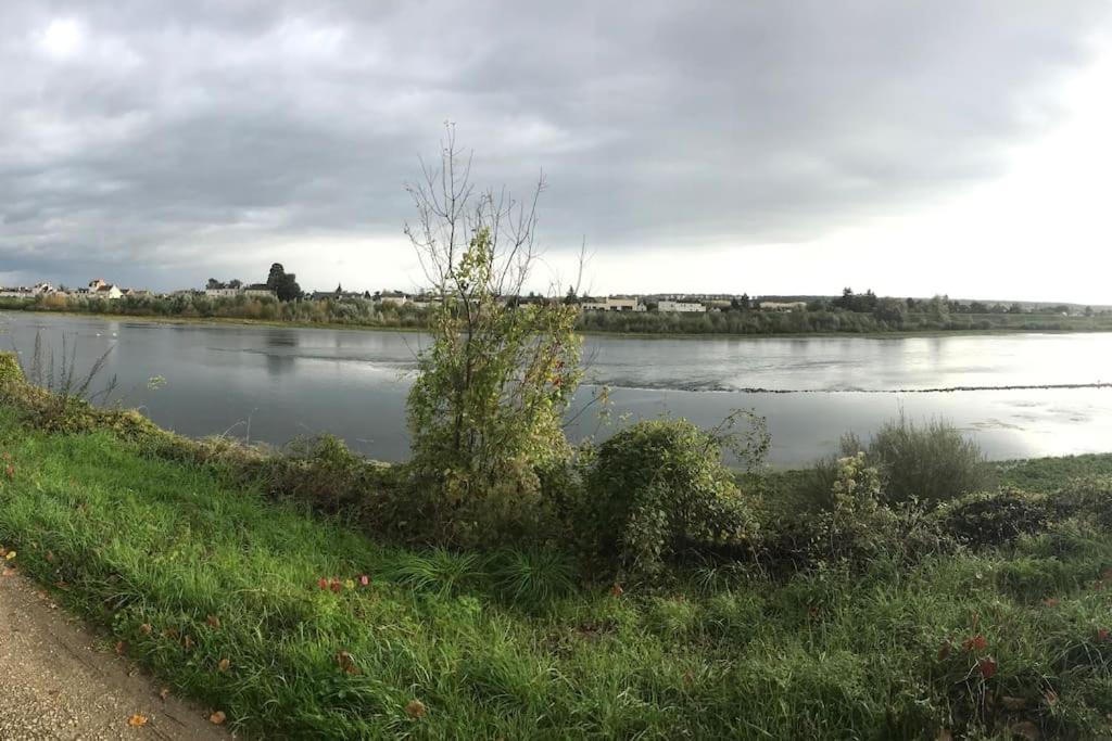 Nid Douillet Bord De Loire Lägenhet Blois Exteriör bild